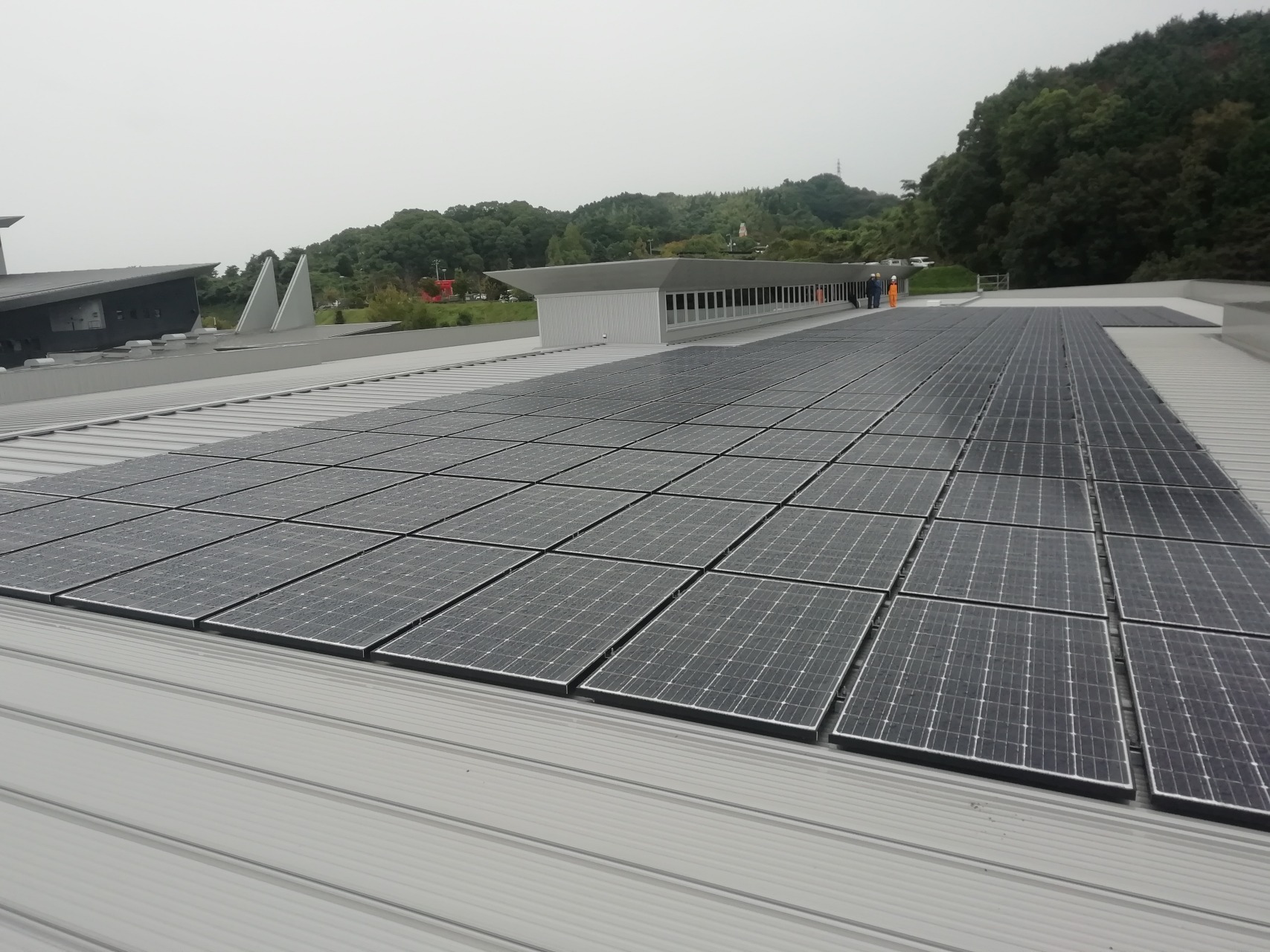 太陽光パネルの写真